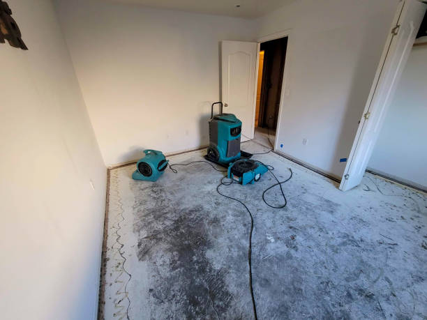 Best Residential water damage restoration  in Rosemont, PA