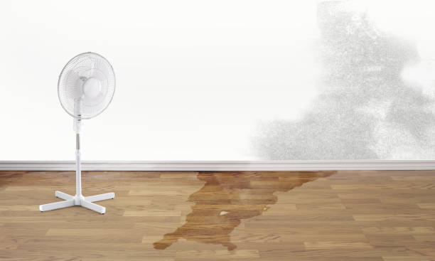 Best Basement water damage restoration  in Rosemont, PA