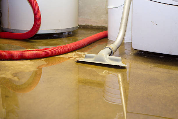 Best Ceiling water damage repair  in Rosemont, PA